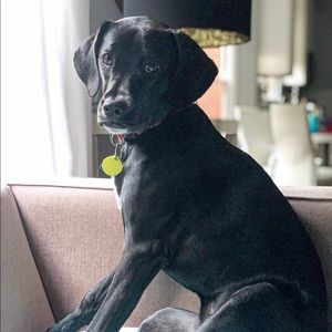 Meet your Posher, Raquel